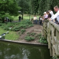 image koningswedstrijd-in-kronenburgerpark-nijmegen-19-07-09-28-jpg