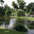 image koningswedstrijd-in-kronenburgerpark-nijmegen-19-07-09-68-jpg