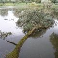 image stormschade-kasteelshehof-28-07-2013-37-jpg