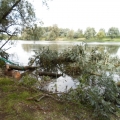 image stormschade-kasteelshehof-28-07-2013-42-jpg