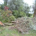 image stormschade-kasteelshehof-28-07-2013-43-jpg