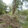 image stormschade-kasteelshehof-28-07-2013-44-jpg