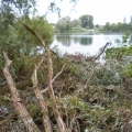 image stormschade-kasteelshehof-28-07-2013-46-jpg