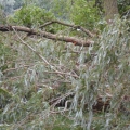 image stormschade-kasteelshehof-28-07-2013-50-jpg