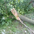 Stormschade kasteelschehof 28-07-2012  28-10-2012