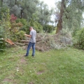 image stormschade-kasteelshehof-28-07-2013-54-jpg