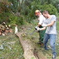 image stormschade-kasteelshehof-28-07-2013-56-jpg