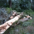 image stormschade-kasteelshehof-28-07-2013-63-jpg