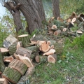 Stormschade kasteelschehof 28-07-2012  28-10-2012