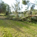 Stormschade kasteelschehof 28-07-2012  28-10-2012