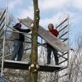 Uivernest plaatsen door vrijwiligers-29-03-2008
