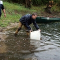 Vis uitgezetting in Ooijpolder 2011