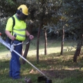image vrijwilligers-werk-op-kasteelshehof-59-jpg