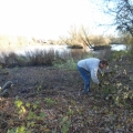 image vrijwilligerswerk-van-de-voorn-in-de-onderhoud-van-2007-tot-2012-165-jpg