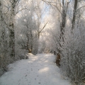 Winterfoto's kasteelshehof.11-09-2012