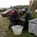image vis-uitgezetting-in-ooijpolder-2011-48-jpg