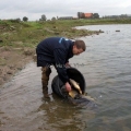 image vis-uitgezetting-in-ooijpolder-2011-97-jpg